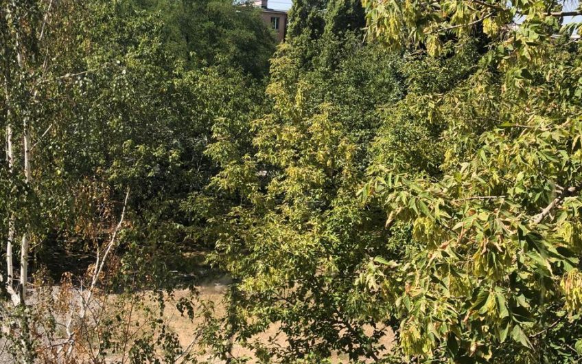 4 комн. квартира — ул. Морозова